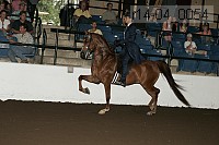 r14-04_0054 thumbnail